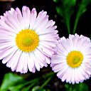 ���� ������� �., ����� - ��������� 22 ������� 2013 � ������ �������