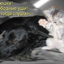 �������� ������ �� ������� ����� ��� ������������