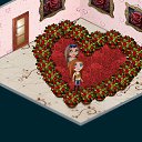 ���� &curren;|�����|&curren;, �������, 21 ��� - ��������� 23 �������� 2013 � ������ �Tropikania�