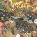 �������� ��������2012��� �� ������� ���� ����������