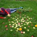 ���� �����, ������, 64 ���� - ��������� 4 ������ 2013 � ������ ���� ����������