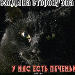 ���� �����..., �����, 43 ���� - ��������� 8 ������� 2013