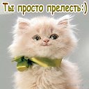 ���� ��� ������� �������!!!, �����-��������� - ��������� 12 ������ 2014 � ������ ���� ����������