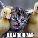 ���� ������, �����, 62 ���� - ��������� 20 ������ 2013 � ������ ���� ����������