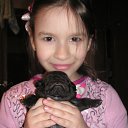 ���� �����, ��������, 54 ���� - ��������� 22 ������� 2013 � ������ ���� ����������