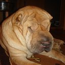 ���� �������, ���������, 61 ��� - ��������� 23 ������� 2013 � ������ ���� ����������