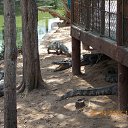 ���� ������, ������ ��������, 60 ��� - ��������� 19 �������� 2013 � ������ ���� ����������