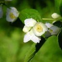 ���� �������, ��������� - ��������� 15 ������ 2014 � ������ ���� ����������