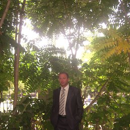 David, ������, 50 ���