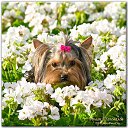 ���� Nicol, ������ - ��������� 27 �������� 2013 � ������ ������ ������ � ���� ��������.������� ^^�