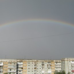 Wiktor, �����������, 80 ���