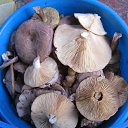 ���� �����, �������� - ��������� 22 ������ 2014 � ������ ���� ������