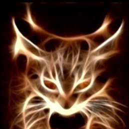 Veb, ����������, 44 ����