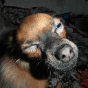 �� ������� �..��� ��� � ���� �� ������� ���������