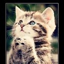 ���� �������, ����������-��-�����, 40 ��� - ��������� 20 ������� 2013 � ������ ���� ����������