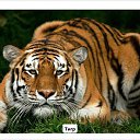 ���� ������, ������, 22 ���� - ��������� 15 �������� 2013 � ������ ���� ����������