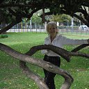 ����� ������� �������� �����������.��� ������� ����� ���� ������:������ ����!!!��������� ������ � �������� � ��������� ��������� ������!!! * �� ������� ���� ����������