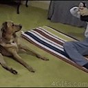 ���� �����, ������ - ��������� 24 �������� 2013 � ������ ���� ����������