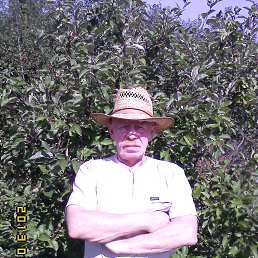 ���� ������, ������, 72 ���� - ��������� 2 ������� 2013