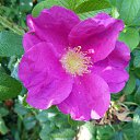 ���� ������� �., ����� - ��������� 22 ������� 2013 � ������ �������