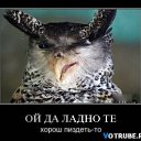 ���� ����, ������, 54 ���� - ��������� 31 ������� 2013 � ������ �������������