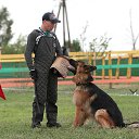 ���� �����, ����������, 38 ��� - ��������� 9 ������� 2013 � ������ ����������