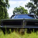 ���� �����, ������, 36 ��� - ��������� 1 ������� 2013 � ������ ������ ��������
