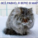 ���� ���, ������, 39 ��� - ��������� 5 ����� 2014 � ������ ������ ��������