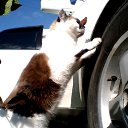 ���� ������, �����������, 45 ��� - ��������� 4 ������ 2013 � ������ ���� ����������