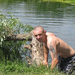 ���� �����, �������, 42 ���� - ��������� 1 ������� 2013