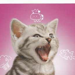 ���� ������, ������, 36 ��� - ��������� 19 ������ 2014