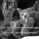 ���� ����, ������, 43 ���� - ��������� 10 ������ 2013 � ������ ���� ����������