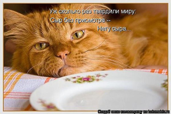 � ����� ������ ����������� - 7