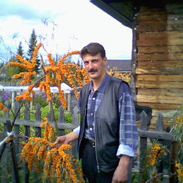 ���������, ����������, 49 ���