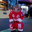  , -, 42  -  26  2013   