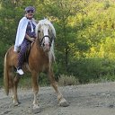 ���� �������, ��������������, 71 ��� - ��������� 22 ������� 2013 � ������ ���� ����������