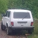���� Natiq, ����, 43 ���� - ��������� 30 ������� 2013 � ������ ���� ����������