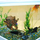 ���� Liksveta, ������, 38 ��� - ��������� 16 ������� 2014 � ������ ��������)))�