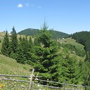 �� ������� � �������� ����� �� ������� ���� �������