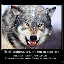 ���� Volk, �����, 67 ��� - ��������� 7 ������ 2014 � ������ ���� ����������