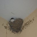 ���������� ������ � ��� �� �������... � ������ ����������! �� ������� ���� ����������