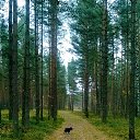 ���� ��������, �����-���������, 54 ���� - ��������� 18 ������ 2014 � ������ ���� ����������