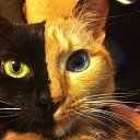 ���� Hadice, ������, 42 ���� - ��������� 25 ������� 2014 � ������ �������