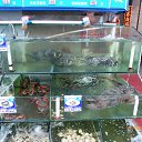 ���� ����, ��������, 62 ���� - ��������� 2 ����� 2014 � ������ ������ � ������� 2014.�