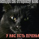 ���� �����..., �����, 43 ���� - ��������� 8 ������� 2013