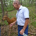 ���� ������, ����������, 77 ��� - ��������� 29 ������� 2013 � ������ ���� ����������