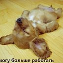���� ��������, �����������, 46 ��� - ��������� 24 ������ 2013 � ������ ���� ����������