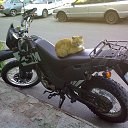 ���� �����, �������, 61 ��� - ��������� 8 ������� 2014 � ������ ���� ����������