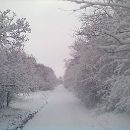 ���� �����, �������, 39 ��� - ��������� 14 ������� 2013