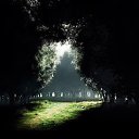  Loseff Yurij, , 63  -  21  2014       google+